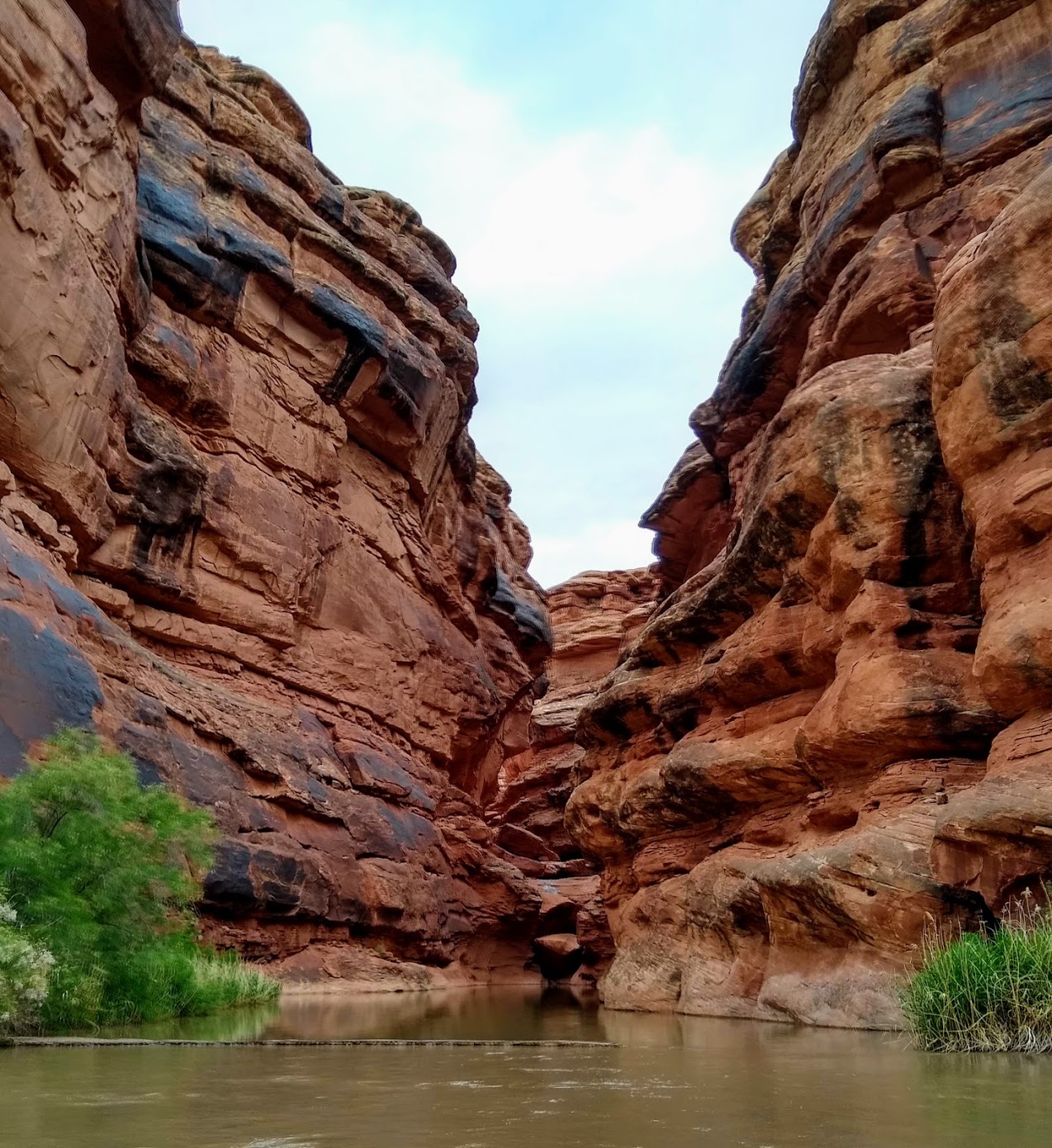 Canyon Cliffs photo by Brian Wilson.jpg