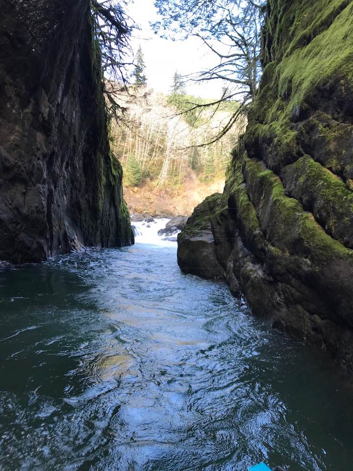 Grays Mar 2018 6-Looking Back Up at Picnic Rapid.jpg