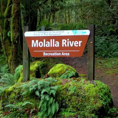 Molalla sign scott harvey.jpg