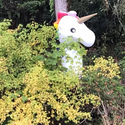 unicorn on Santiam - Allensworth.jpg